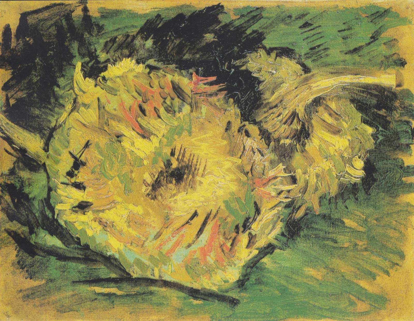 Vincent+Van+Gogh-1853-1890 (5).jpeg